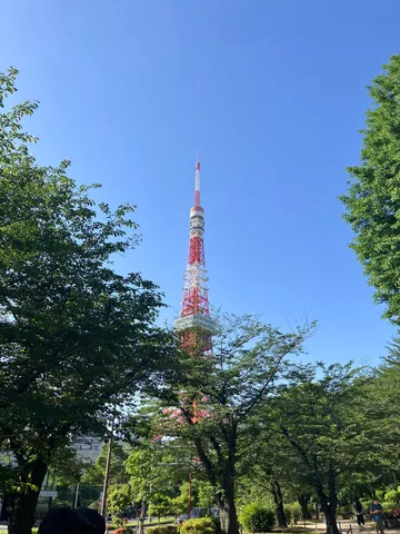 空とタワー、木漏れ日のコントラスト