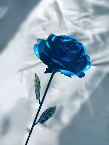 光に浮かぶ青い薔薇