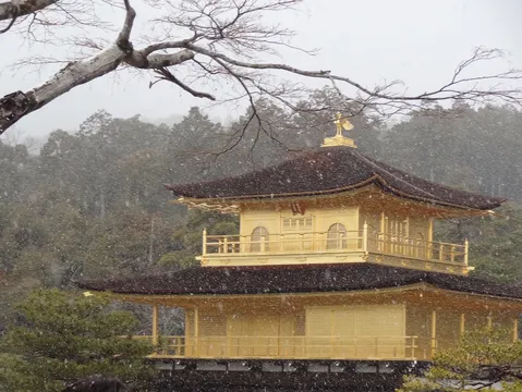 雪舞う金色の寺院、幻想的な風景