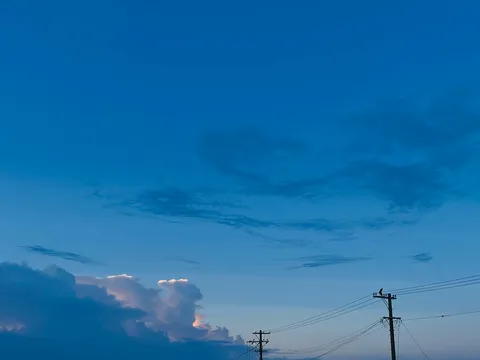 電線でひと休み、空のコントラスト