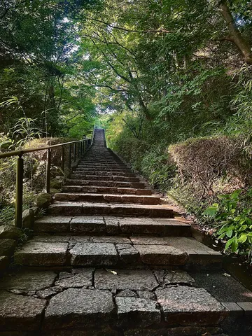 緑に誘われ、石段を登る