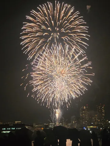 夜空に咲く、光の花束
