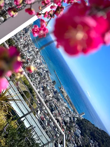 海と街並み、桜の訪れ