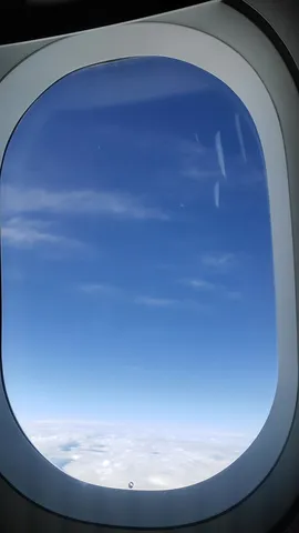 窓辺に広がる青い世界