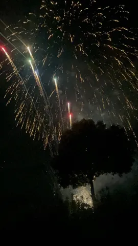 夜空に咲く光の華