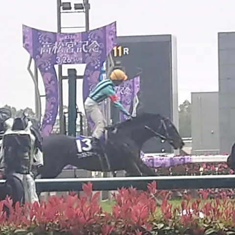 競馬場の熱気とゼッケン13