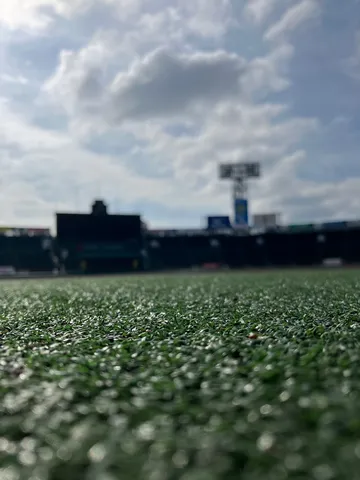 芝生と空の静かな語り
