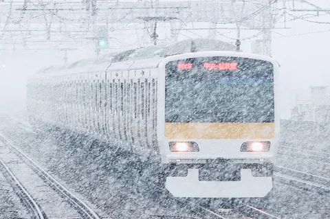 吹雪の中を走る列車の旅