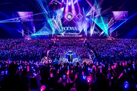 光と熱狂のライブ空間