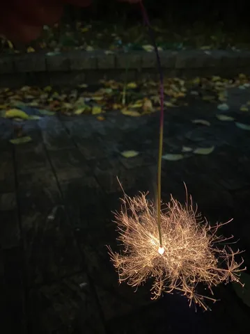 闇夜に伸びる線香花火