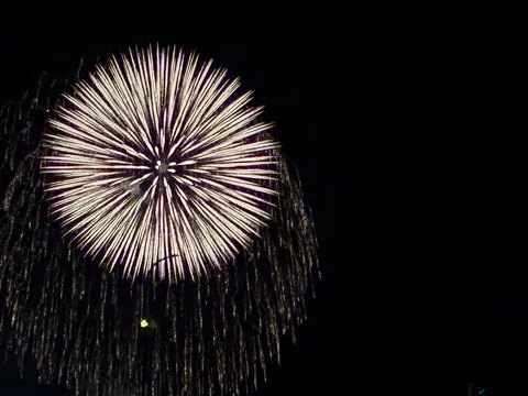 夜空を照らす円環の花火