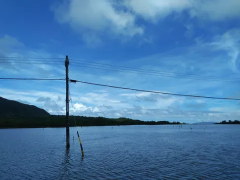 水辺に立つ電柱と青い空