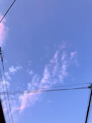紫に染まる電線空