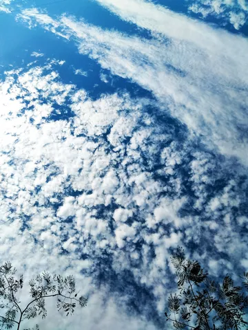 青空に広がる雲模様
