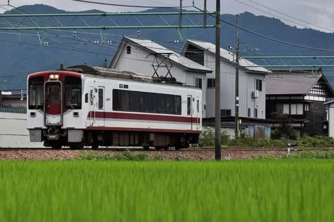 緑と都会のコントラスト、旅情を誘う列車