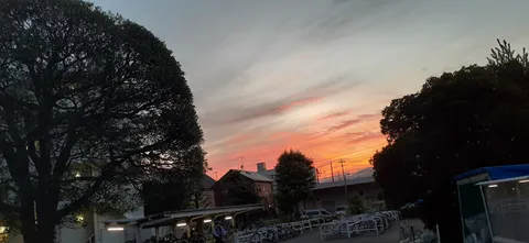 茜空に映える、夕暮れの自転車置き場