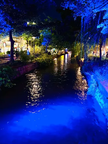 青い光に包まれた夜の川辺