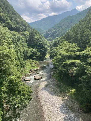 緑の渓流と山影