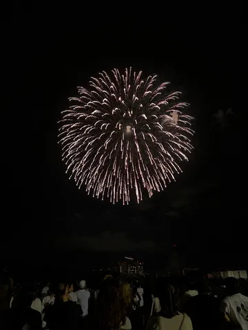 夜空に咲く大輪の光