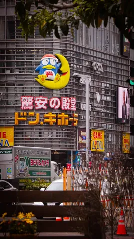 月とペンギンの看板に映る街