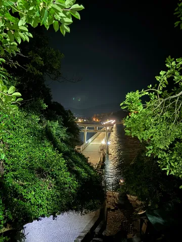 緑に囲まれた夜の桟橋