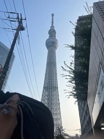 電線と空とスカイツリー