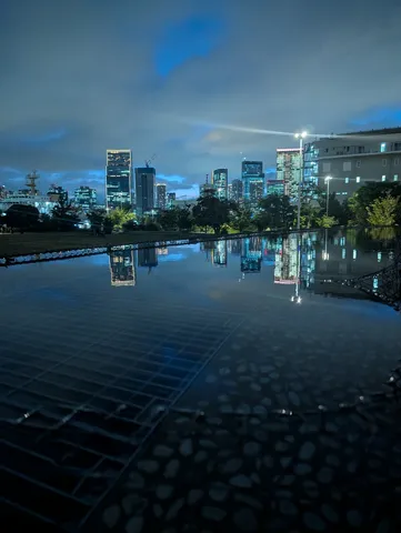 水面に映る都会の夜景