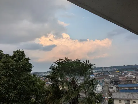 無題