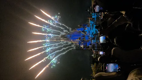 城と花火の夢の共演