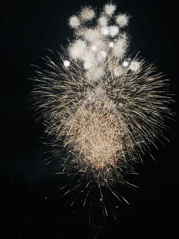 夜空を彩る光の華