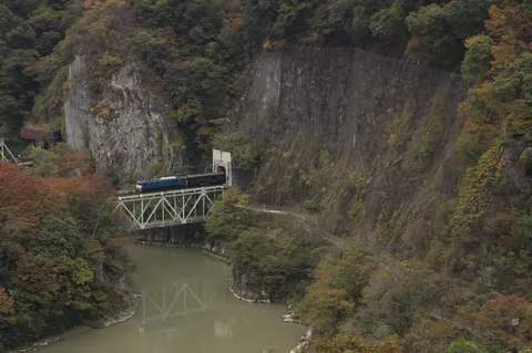 秋色トンネル列車