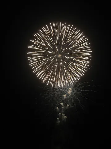 夜空に咲く、光の花束