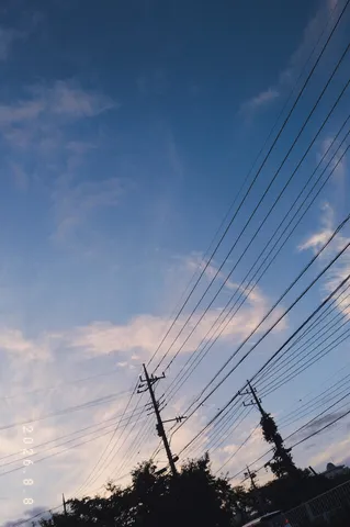 夕焼けと電線の静かな対話
