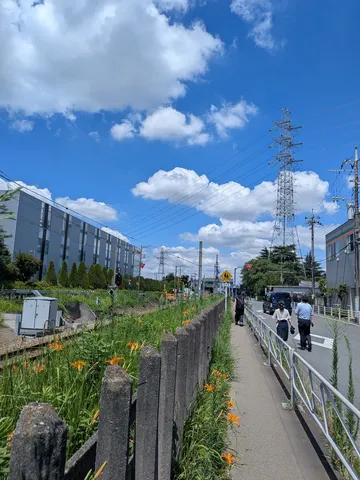 夏の彩りと青い空のコントラスト