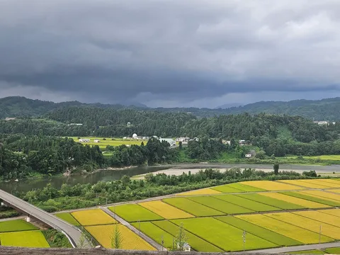 里山を彩る、実りのグラデーション