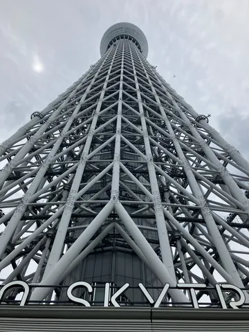 見上げれば空まで届きそう！