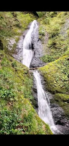 緑に包まれた静寂の滝
