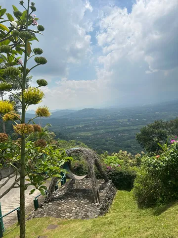 絶景と枝の秘密基地
