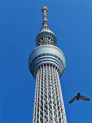 青空にそびえる鉄骨タワー