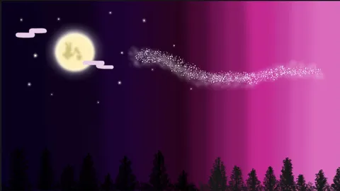 月夜に浮かぶ星の尾