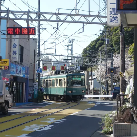 昭和レトロな電車と桜並木