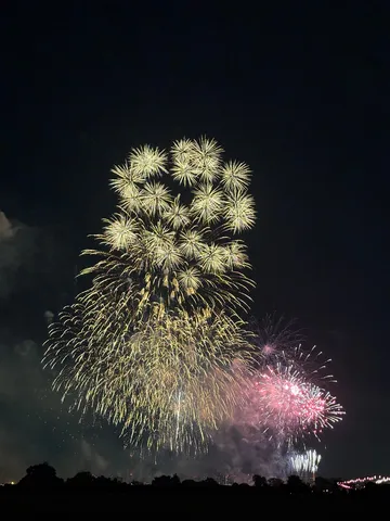 夜空に咲く花火の群像
