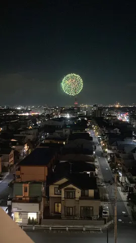 夜空に咲いた光の花