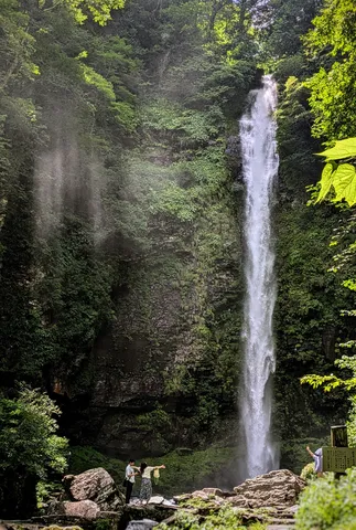 深緑に映える白糸の滝