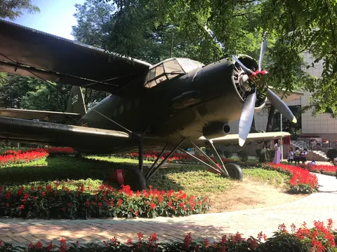 空飛ぶ倉庫？レトロ飛行機と鮮やかサルビア