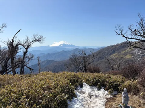 日本晴れ！富士山と枯れ木と私