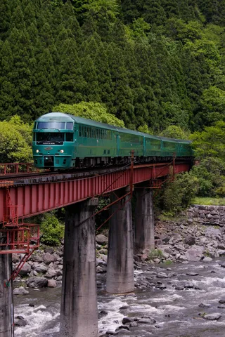 深緑を駆ける特急列車