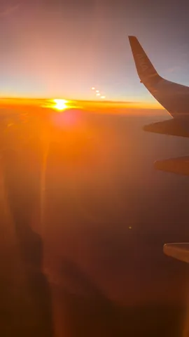 空に溶ける、翼のサンセット