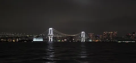 煌めく夜の架け橋