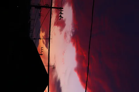 電線越しの夕焼け空